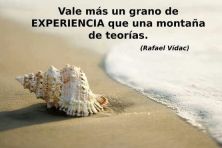 Haga click para ver la imagen ampliada vale mas un grano de experiencia que una montana de teorias.jpg